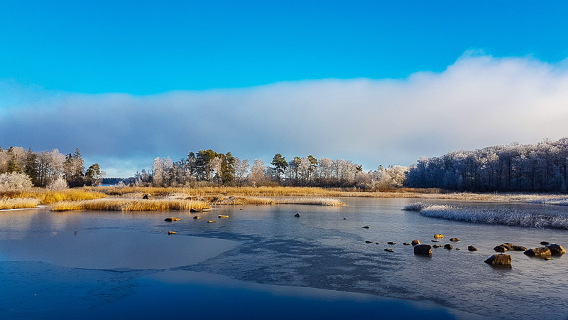Åsnen