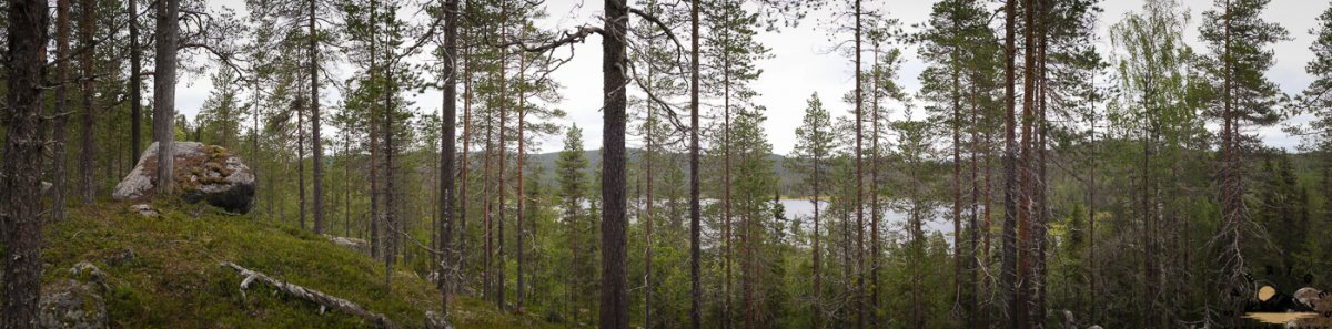 bjornlandet_190814_015.jpg